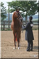 4H-1st-Show-2006-0585.jpg