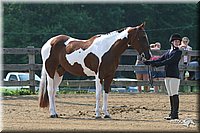 4H-1st-Show-2006-0589.jpg