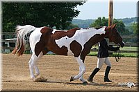 4H-1st-Show-2006-0592.jpg