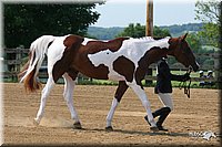 4H-1st-Show-2006-0593.jpg