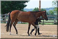 4H-1st-Show-2006-0604.jpg