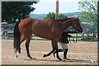 4H-1st-Show-2006-0605.jpg