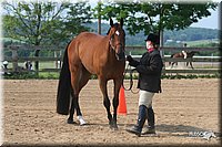 4H-1st-Show-2006-0607.jpg