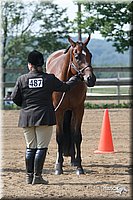 4H-1st-Show-2006-0608.jpg