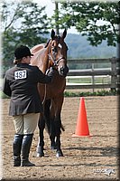 4H-1st-Show-2006-0609.jpg