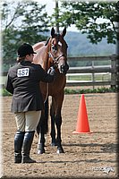 4H-1st-Show-2006-0610.jpg