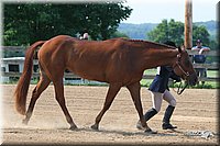 4H-1st-Show-2006-0618.jpg