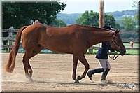 4H-1st-Show-2006-0619.jpg