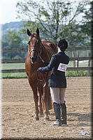 4H-1st-Show-2006-0620.jpg