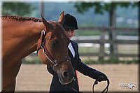 4H-1st-Show-2006-0628.jpg