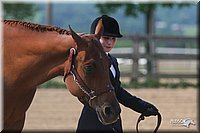 4H-1st-Show-2006-0629.jpg