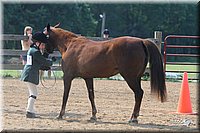 4H-1st-Show-2006-0632.jpg