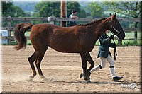 4H-1st-Show-2006-0633.jpg