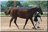 4H-1st-Show-2006-0634.jpg