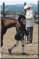 4H-1st-Show-2006-0646.jpg