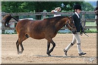 4H-1st-Show-2006-0651.jpg