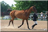 4H-1st-Show-2006-0681.jpg