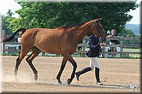 4H-1st-Show-2006-0682.jpg