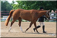 4H-1st-Show-2006-0693.jpg