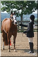 4H-1st-Show-2006-0695.jpg