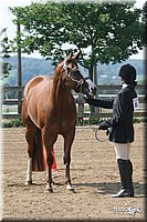 4H-1st-Show-2006-0696.jpg