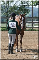 4H-1st-Show-2006-0704.jpg