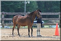 4H-1st-Show-2006-0714.jpg