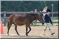 4H-1st-Show-2006-0715.jpg