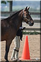 4H-1st-Show-2006-0720.jpg