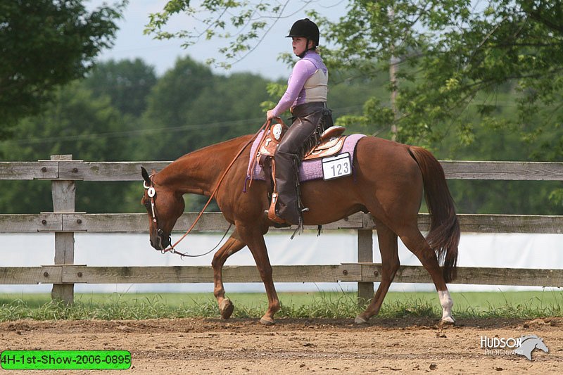 4H-1st-Show-2006-0895.jpg