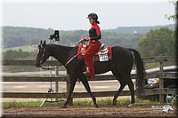 4H-1st-Show-2006-0891.jpg