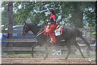 4H-1st-Show-2006-0923.jpg