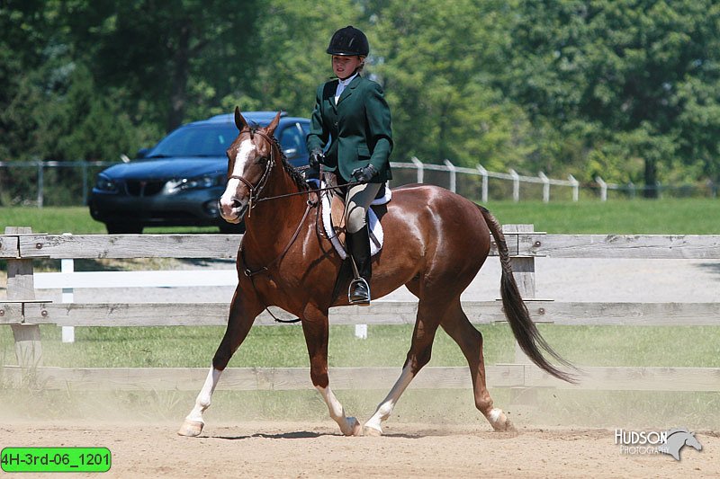 4H-3rd-06_1201.jpg