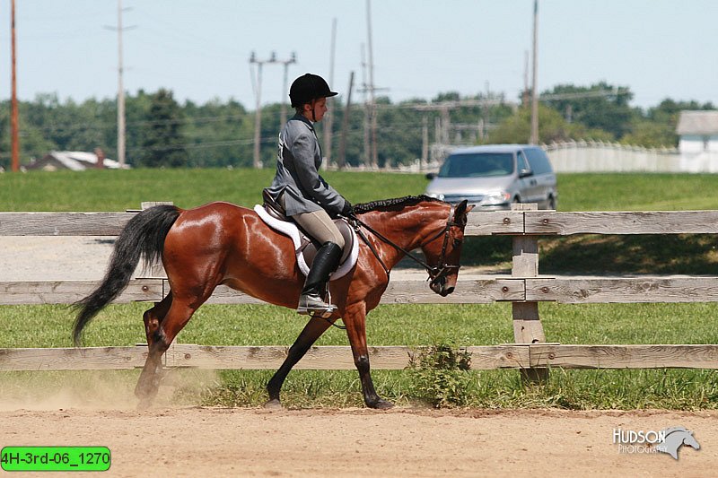 4H-3rd-06_1270.jpg