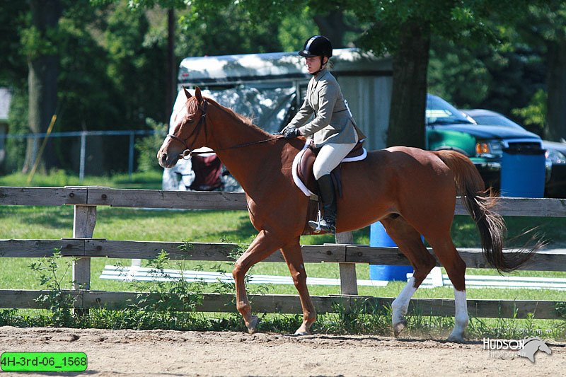 4H-3rd-06_1568.jpg
