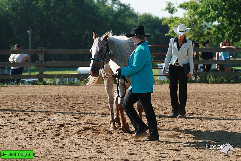4H-3rd-06_500.jpg