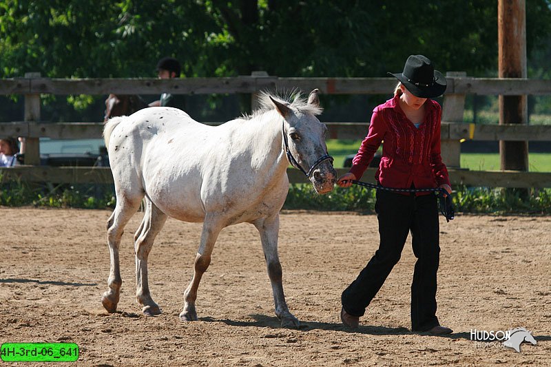 4H-3rd-06_641.jpg