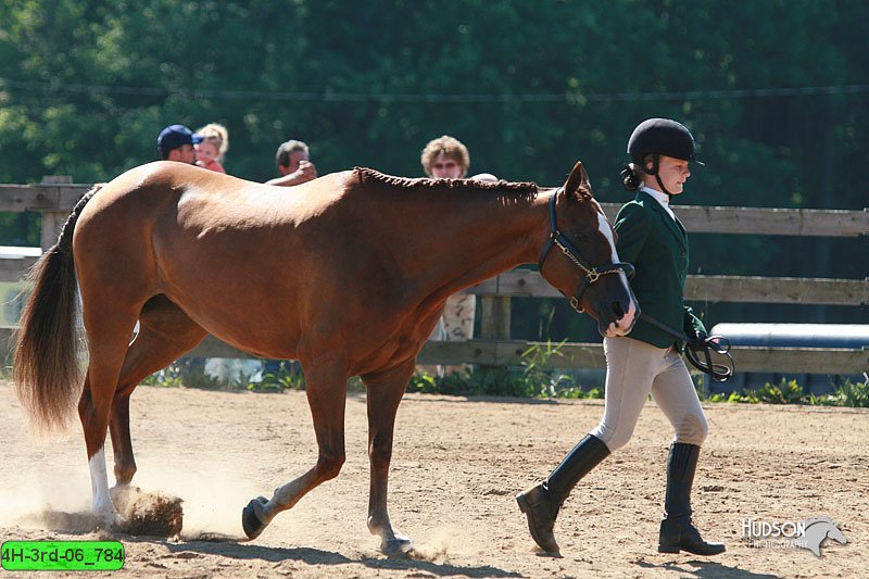 4H-3rd-06_784.jpg