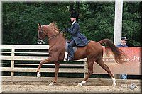 4H-Dist-06-_2004.jpg