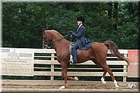 4H-Dist-06-_2005.jpg