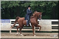 4H-Dist-06-_2006.jpg