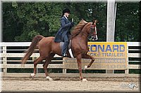 4H-Dist-06-_2007.jpg