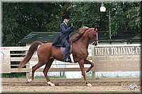 4H-Dist-06-_2008.jpg