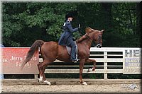 4H-Dist-06-_2010.jpg