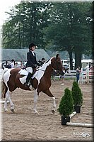 4H-Dist-06-_0810.jpg