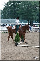 4H-Dist-06-_0873.jpg