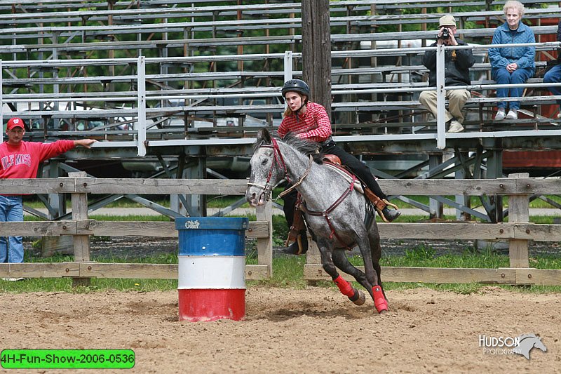 4H-Fun-Show-2006-0536.jpg