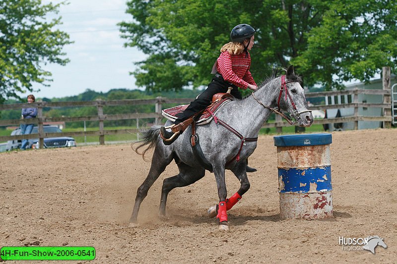 4H-Fun-Show-2006-0541.jpg