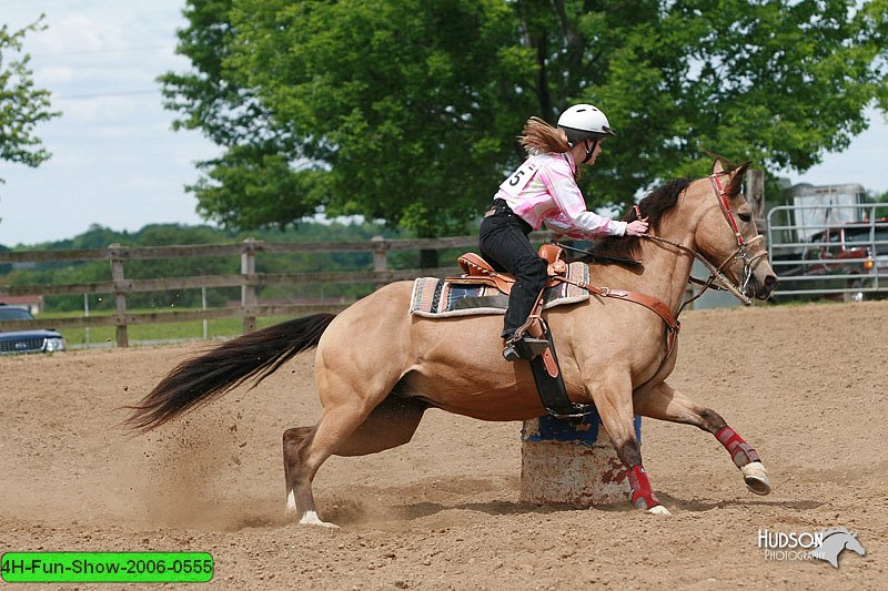 4H-Fun-Show-2006-0555.jpg