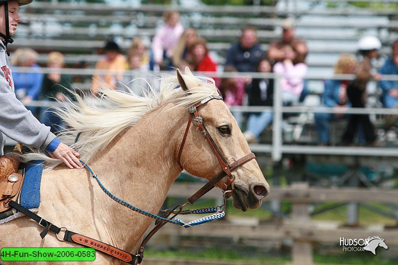 4H-Fun-Show-2006-0583.jpg